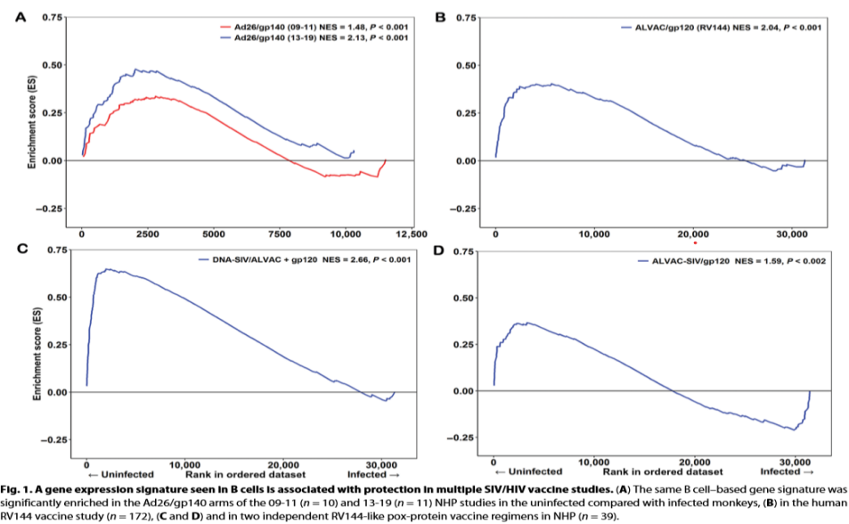 Figure 1. A Gene expression signature seen in B cells is associated with protection in multiple SIV/HIV vaccine studies. (A) The same B cell-based gene signature was significantly enriched in the Ad26/gp140 arms of the 09-11 (n=10) and 13-19 (n=11) NHP studies in the uninfected compared with infected monkeys, (B) in the human RV144 vaccine study (n=172), (C and D) and in two independent RV144-like pox-protein vaccine regimens in NHP (n=39).