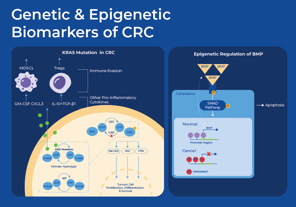 genetic and epigenetic biomarkers of CRC