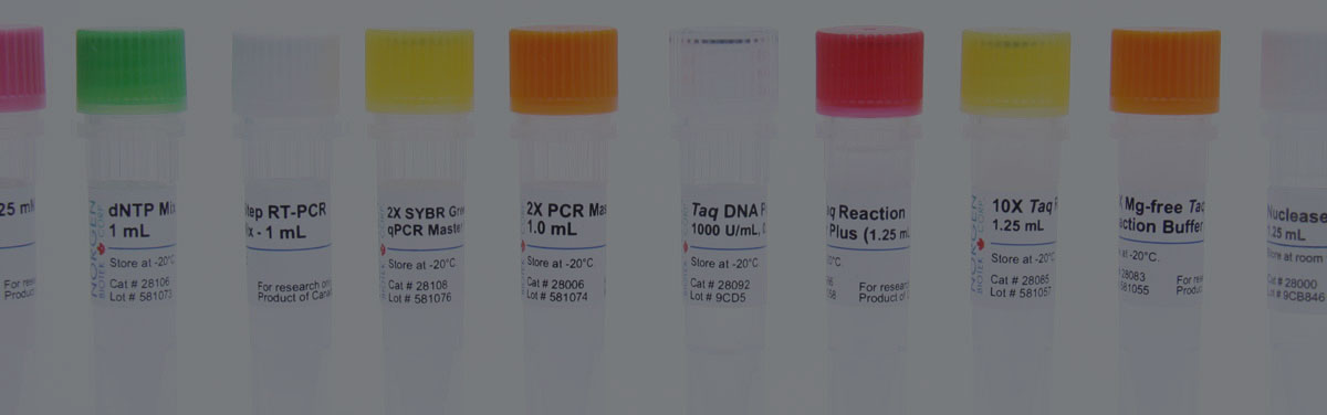 PCR Regeants