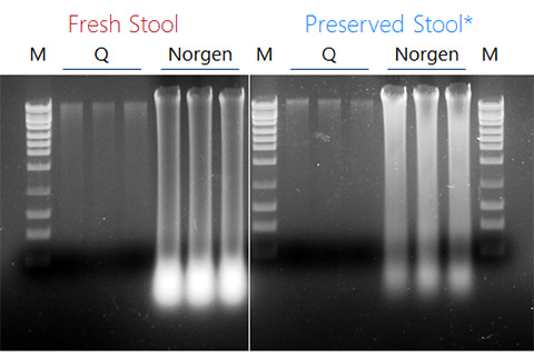 Figure 1. Effect of ambient temperature storage on cf-DNA (pDNA)