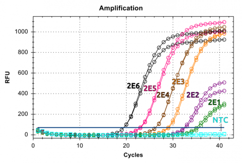 Amplification for HIV Quantitative TaqMan RT-PCR Detection Kit