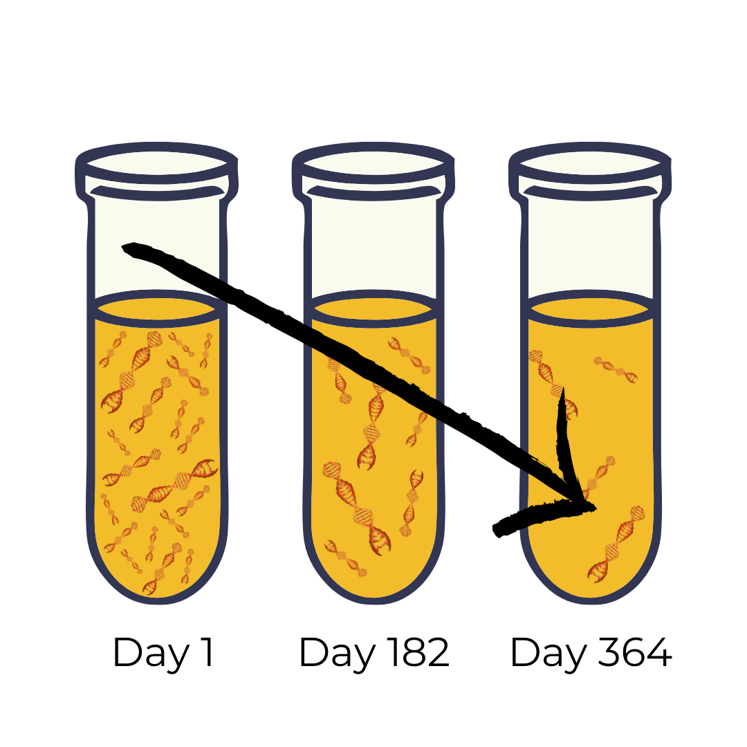 diagram of urine sample at Day 1, Day 182, and Day 364