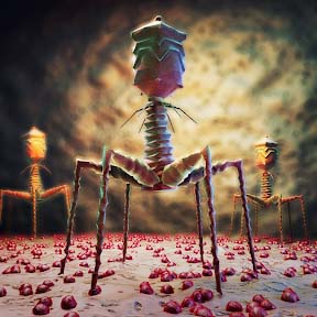 artist rendering  close-up of bacteriophages on a bacterium