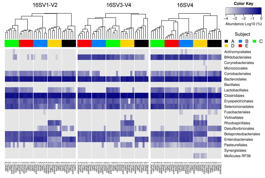 Figure 2. Heat map displaying abundance of bacterial order found within the three regions of bacterial 16S rRNA gene for the give subjects in each preservative