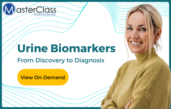Urine Biomarkers: From Discovery to Analysis (View On-Demand)