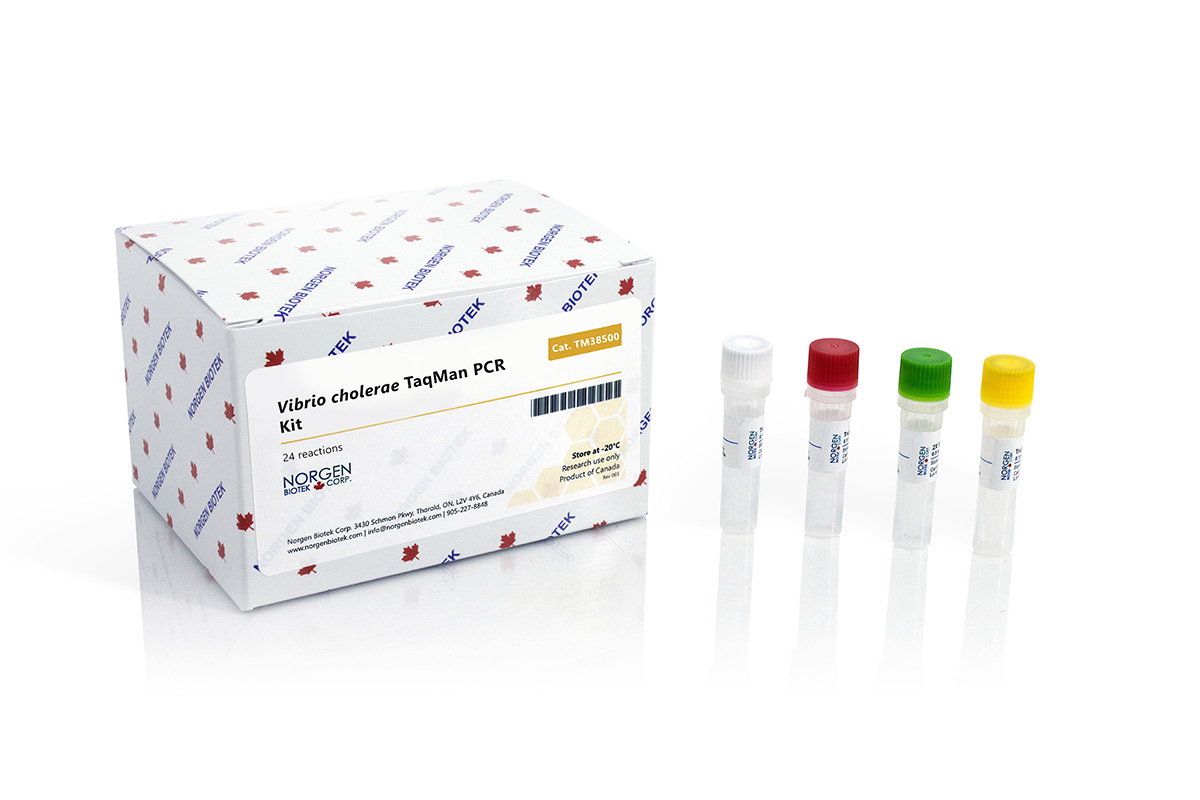Vibrio cholerae TaqMan PCR Kit