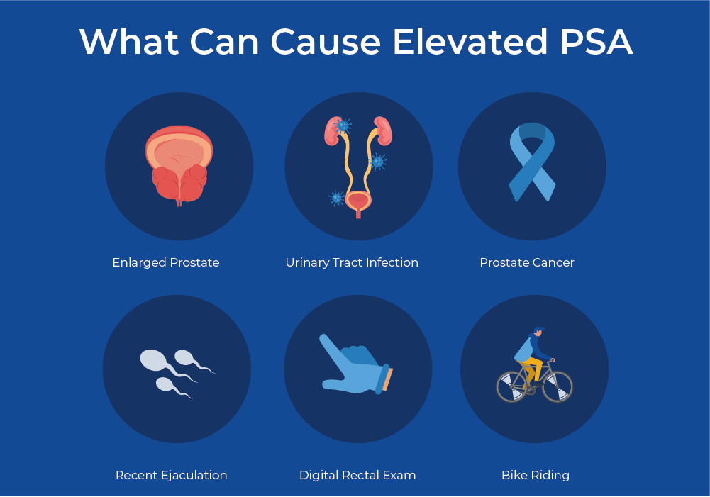 what can cause elevated psa infographic