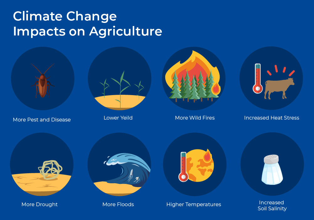 climate change impacts agriculture