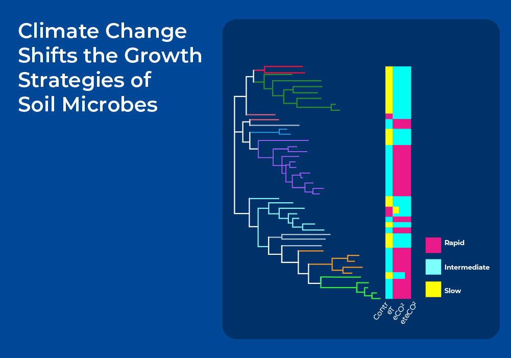 climate change shifts the growth strategies of soil microbes