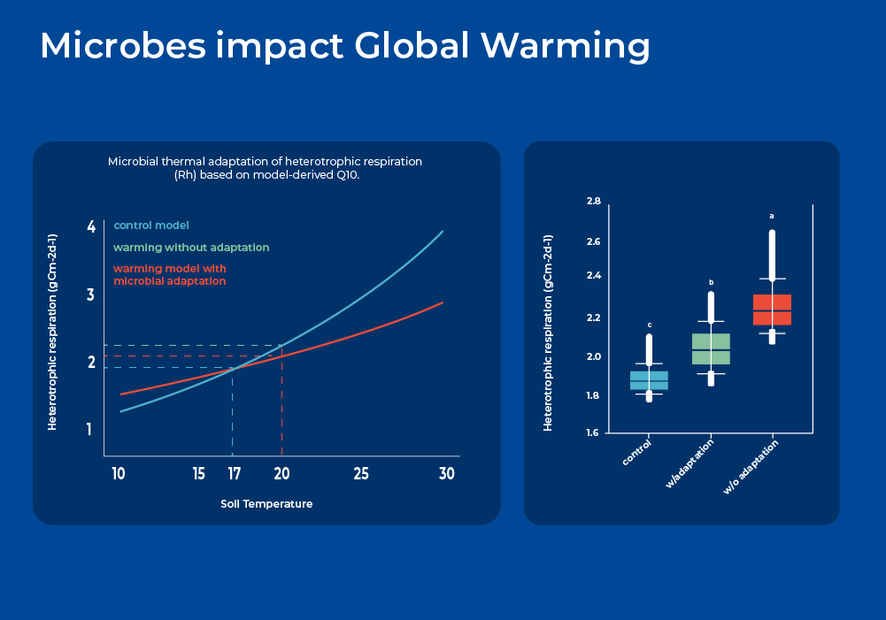 microbes impact global warming