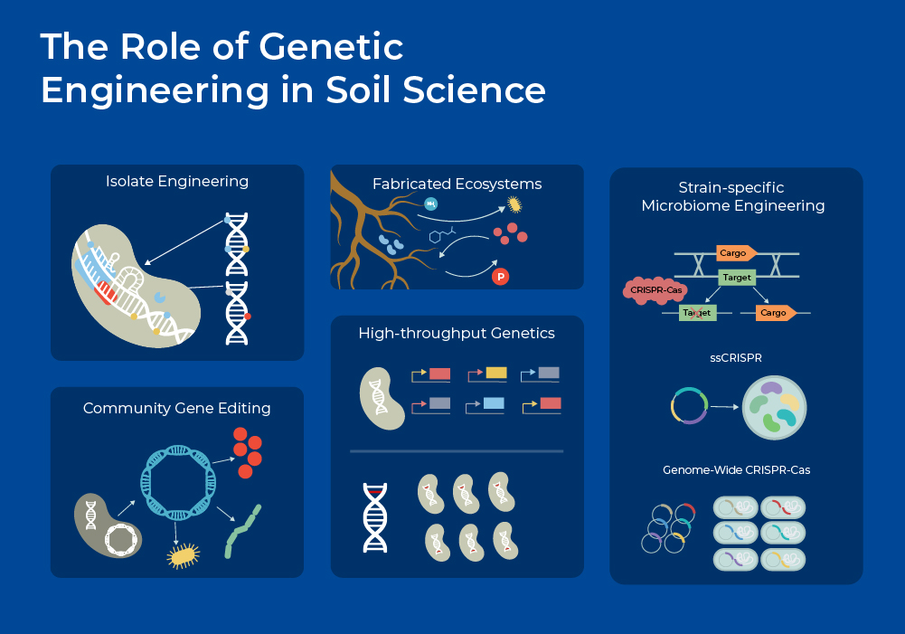 the role of genetic engineering in soil science