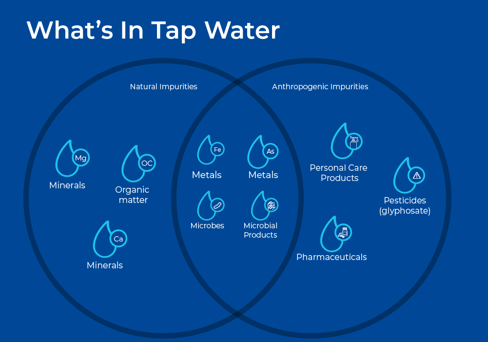 Figure 1 - Whats in Tap Water