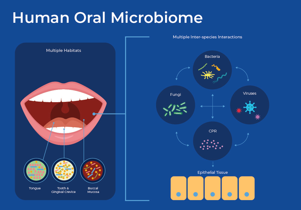 Figure 1 - The Human Oral Microbiome