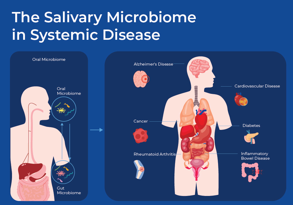 Figure 3 - The Salivary Microbiome in Systemic Disease
