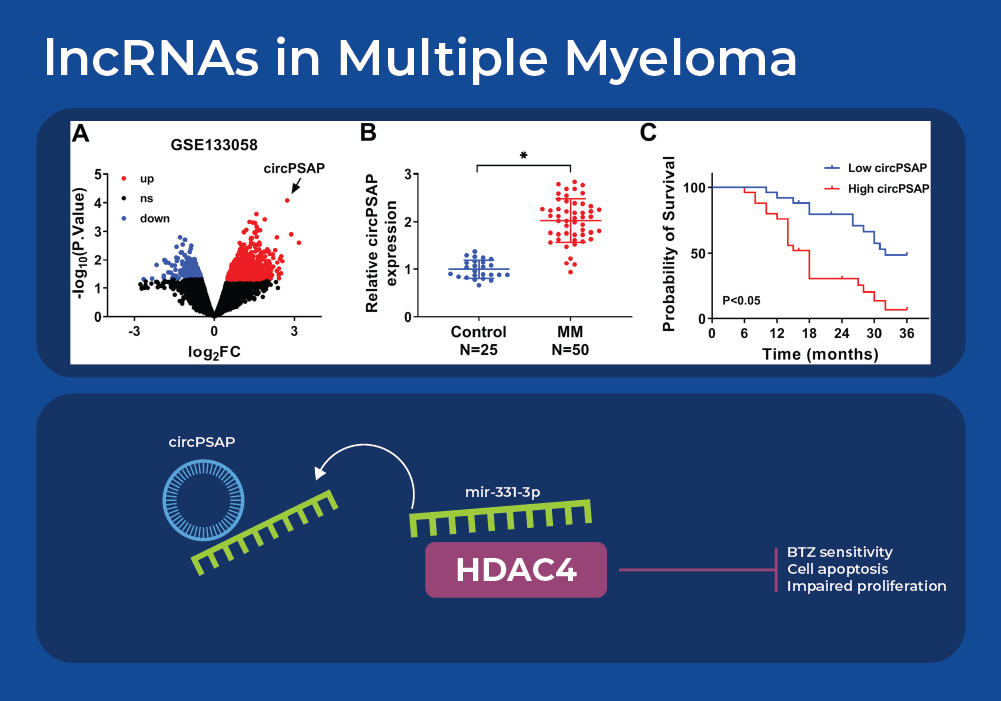 lncRNAs in Multiple Myeloma