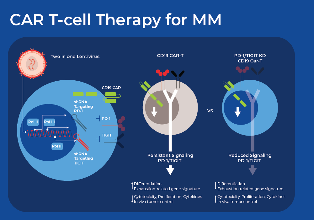 CAR T-cell Therapy Multiple Myeloma