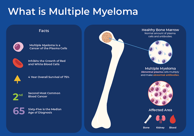 Rna Based Diagnosis And Treatment Of Multiple Myeloma Norgen Biotek Corp 2627