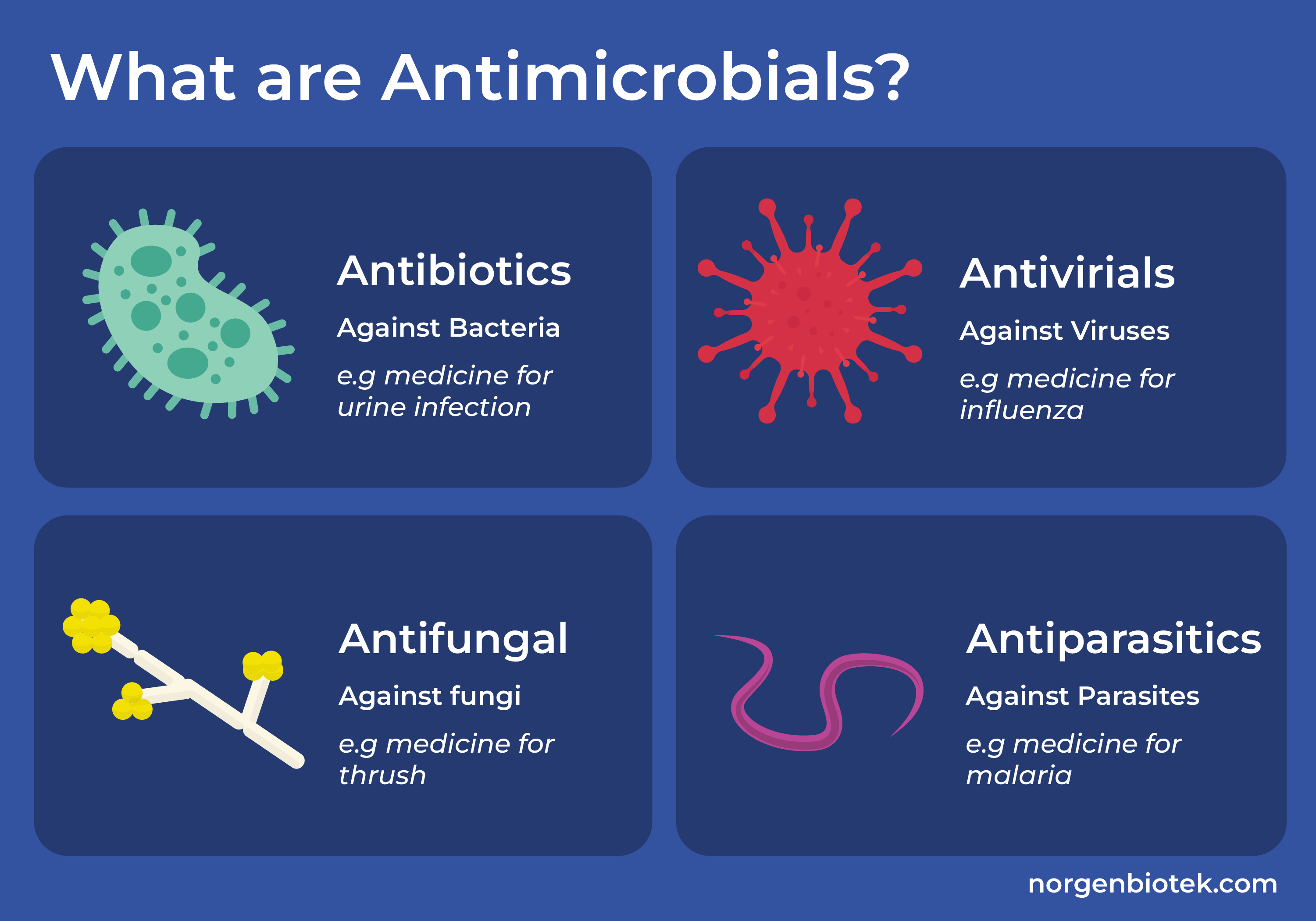 4 types of antimicrobials: antibiotics, antivirials, antifungal, and antiparasitics