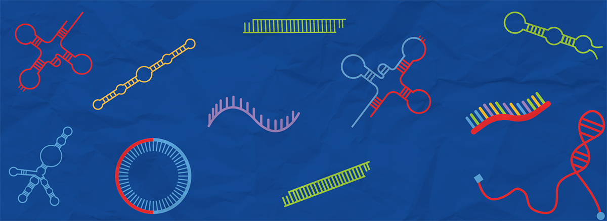Exploring the Diversity of RNA