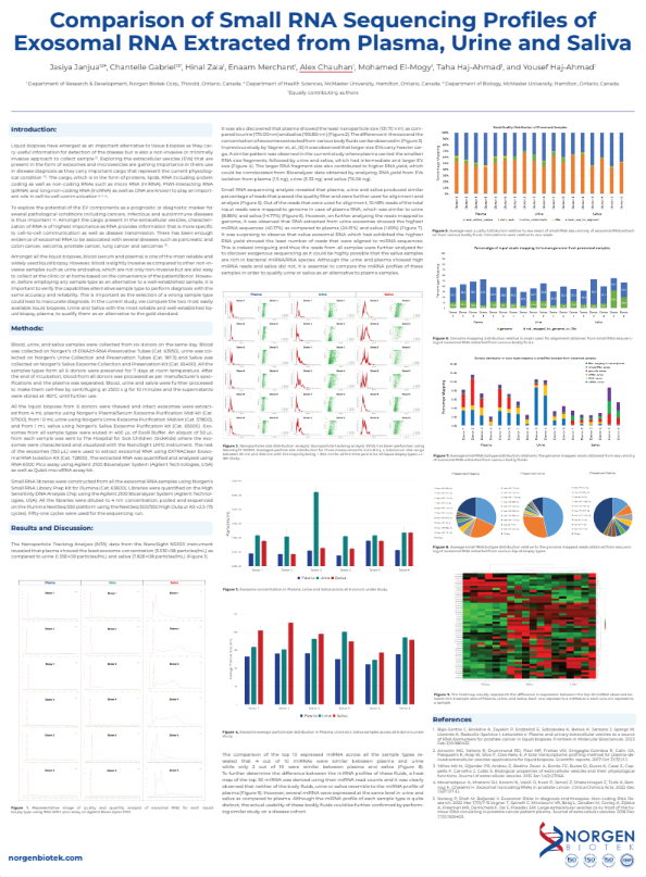 Sample Report