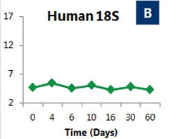 Figure 2. Stability of three house keeping genes over a 2 month period