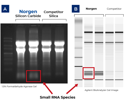 Figure 1. High Quality of Isolated RNA with Complete Size Range.