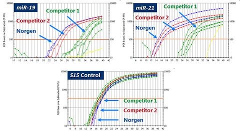 Figura 2. Amplificación de ARN grandes y pequeños en la misma extracción.