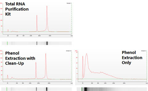 Figure 2. Effective Clean-Up to Produce High Quality Total RNA Compatible to Bioanalyzer Analysis