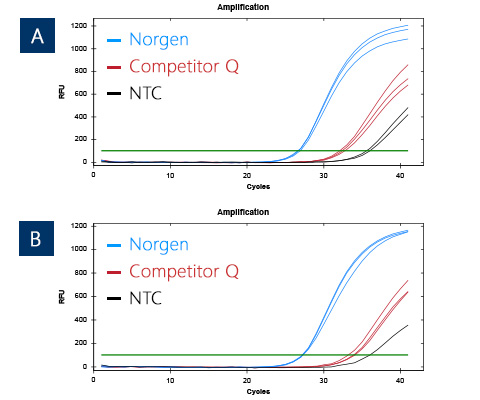 Figure 4. Detection of 5S rRNA from the Stool DNA