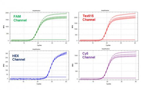 Mastitis Pathogens TaqMan PCR Kits Figure 1