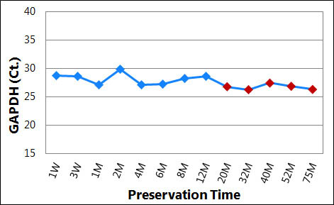 Figure 2.  High Quality Preserved DNA