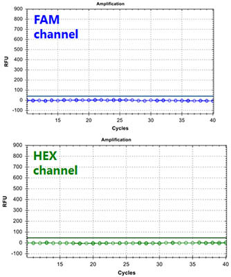 Figure 3. HSV-1 TaqMan PCR Kit 