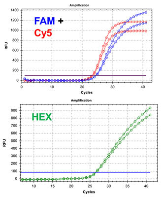 Chlamydia/Neisseria gonorrhoeae TaqMan PCR Kit Figure 1