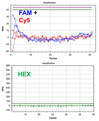 Chlamydia/Neisseria gonorrhoeae TaqMan PCR Kit Figure 5