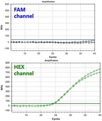 HLVd TaqMan PCR Kit Figure 2