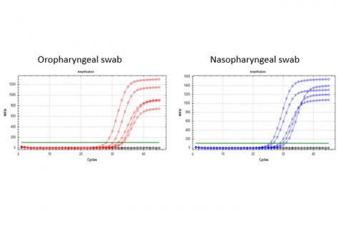 Figure 2. Stability of RNA 