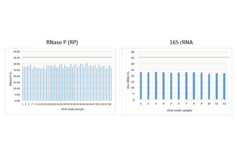 Figure 5. Downstream Application of Preserved Swab RNA & DNA