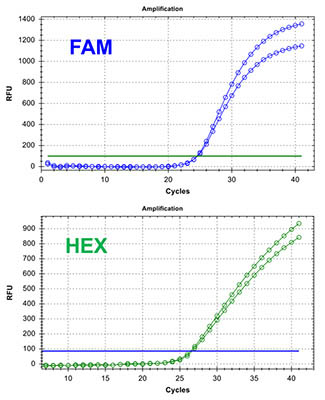 Figure 3 - Chlamydia/Neisseria gonorrhoeae TaqMan PCR Kit