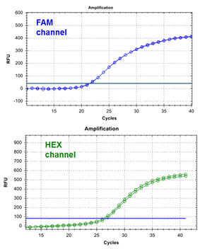 Figure 1 - EBV TaqMan PCR Kit