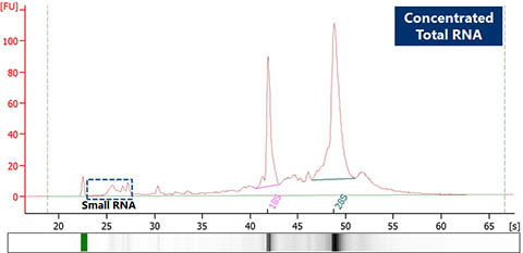 Figure 6. Excellent Quality of Concentrated RNA