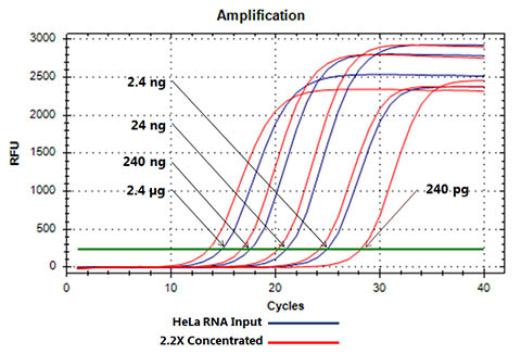 Figure 8. Concentration of Total RNA