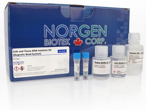 Cells and Tissue DNA Isolation Kit (Magnetic Bead System)