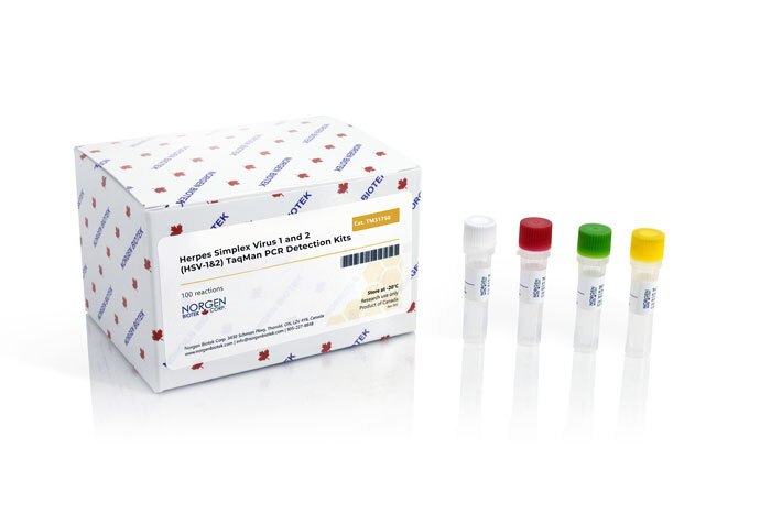 HSV-1 and HSV-2 TaqMan PCR Kit (100 reactions)