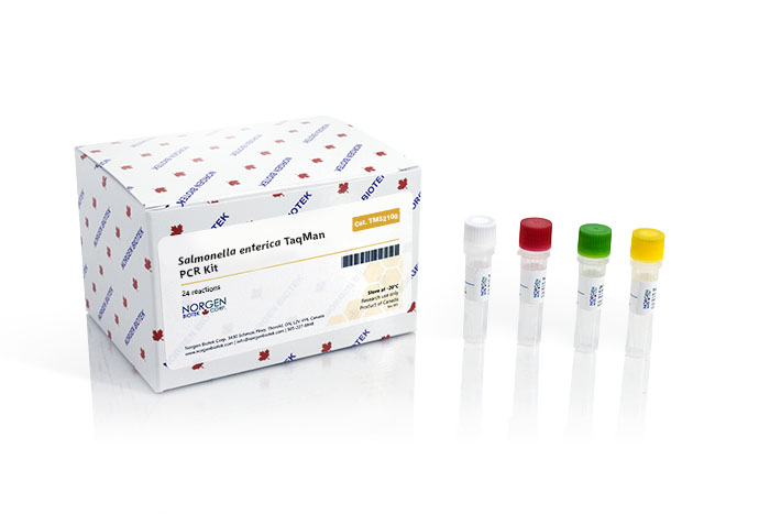 Salmonella enterica TaqMan PCR Kit