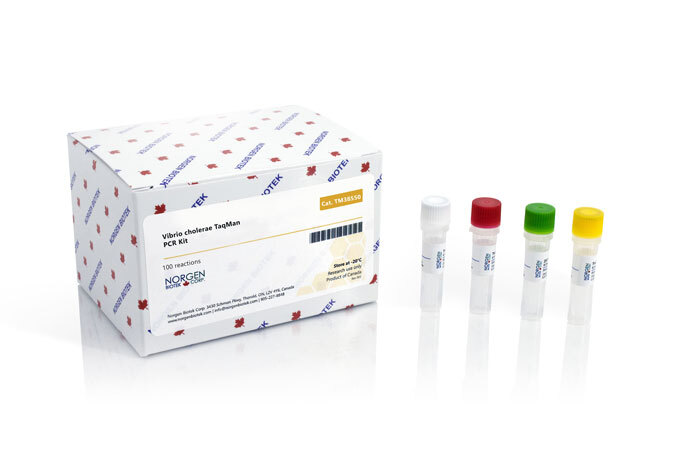Vibrio cholerae Detection Kit (100 reactions)