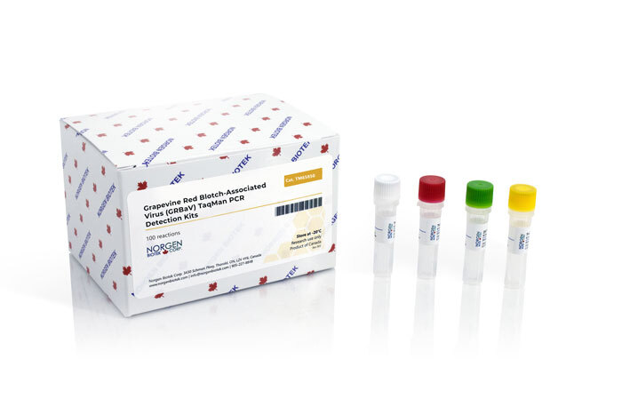 Grapevine Red Blotch-Associated Virus PCR Detection Kit (100 reactions)