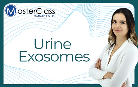 urine exosome