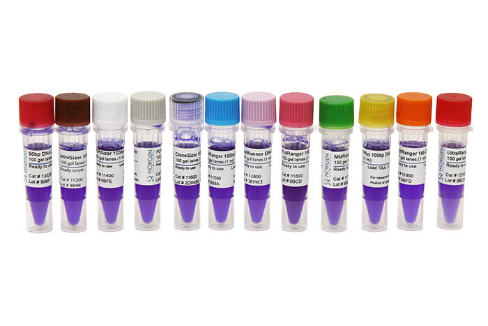 50 bp DNA Ladder | Norgen Biotek Corp.