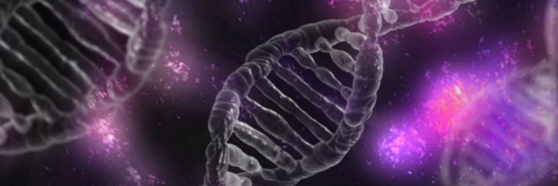 Artist rendering mitochondrial DNA