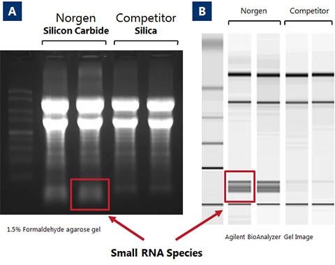 Figure 1. High Quality of Isolated RNA with Complete Size Range